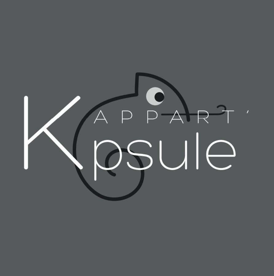 L'Appart K-Psule - Design, Tout Confort, Centre-Ville, 3 Pers Ле-Ман Экстерьер фото